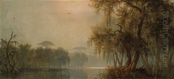 Louisiana Marsh - view 1