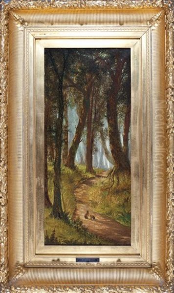 Path Through The Woods - view 1