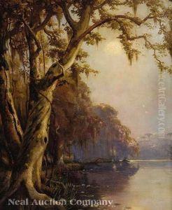 Morning On The Bayou