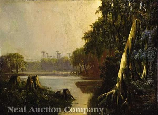 Bayou At Twilight - view 1