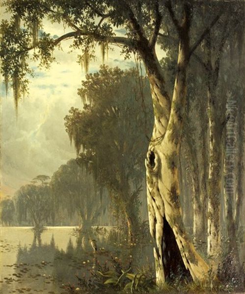 Near Bayou Plaquemine (louisiana) - view 1