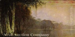 Bayou Scene With Egret