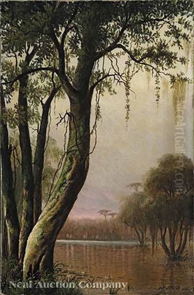 Cypress On The Bayou - view 1