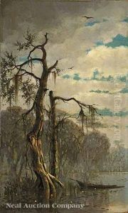 Near Manchac Bayou, Louisiana