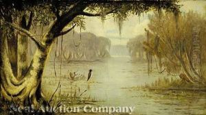 Louisiana Bayou Scene