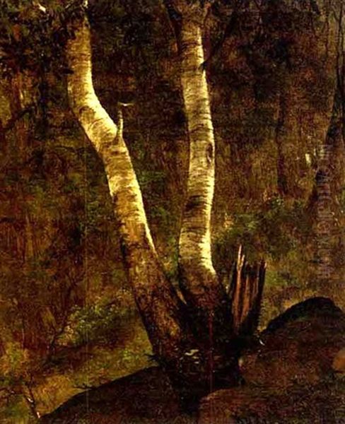 Birches On Lake Pepin - view 1