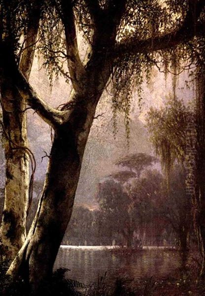 Bayou Near A Lake - view 1
