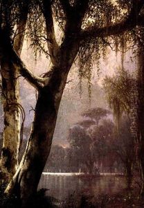 Bayou Near A Lake