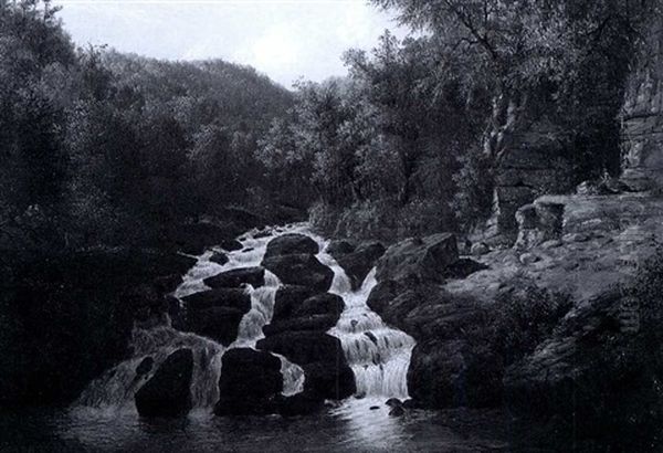 Forest Stream - view 1