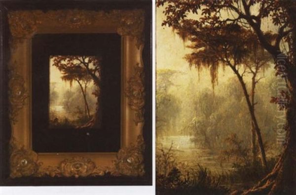Louisiana Bayou Landscape - view 1