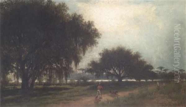 Live Oaks, Louisiana - view 1