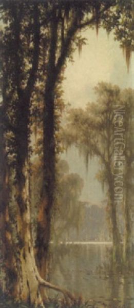Bayou Plaguemines - view 1