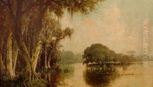 Louisiana Bayou Landscape - view 1