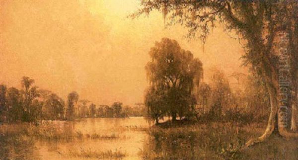 Louisiana Bayou Landscape - view 1