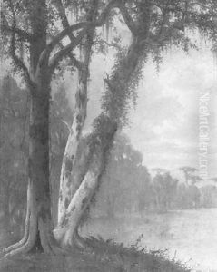 Southern Bayou by Joseph Rusling Meeker