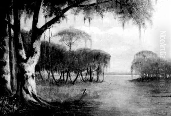 Bayou Plaquemine, Louisiana - view 1