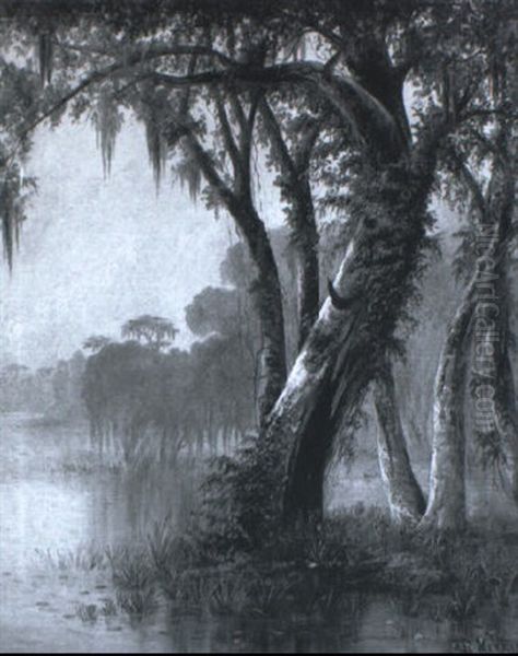 In The Bayou - view 1