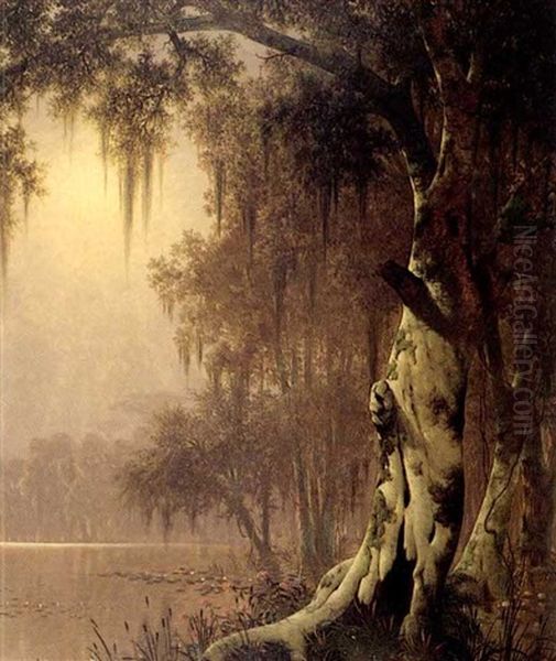 Cypress Swamp Near The Teche, Louisiana - view 1