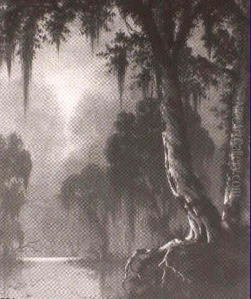 Near Lake Providence, Louisiana - view 1