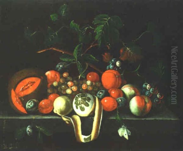 Still Life Of Fruits On A Stone Ledge - view 1