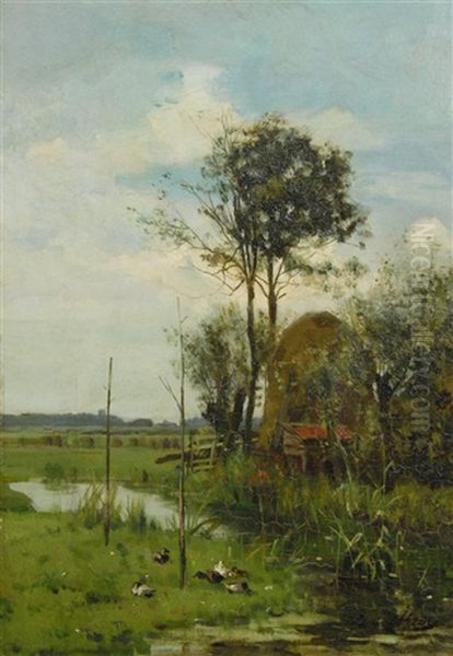 Ducks In Landscape - view 1