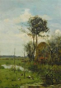 Ducks In Landscape