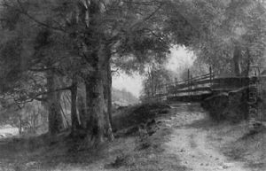 The Woodland Path The Woodland Path
