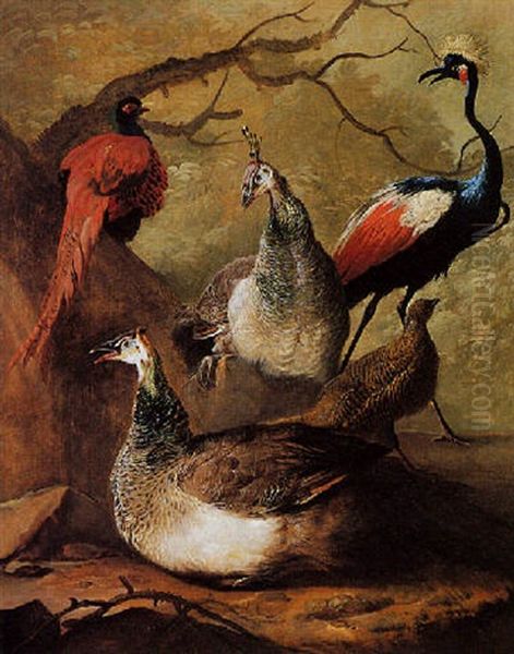 A Peacock, A Peahen A Crane And A Pheasant In A Wooded Landscape - view 1
