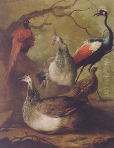 A Wooded Landscape With Peacock, Peahen, Crane And A Pheasant
