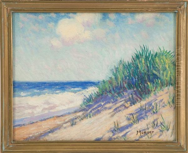 Cape Cod Dunes - view 1