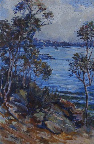 Taronga Park - view 1