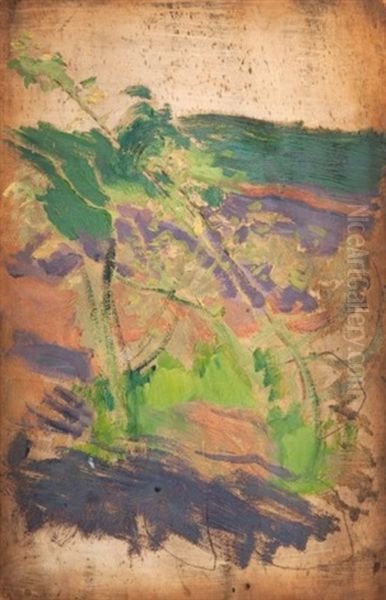 Kwitnacego Krzewu (sketch) - view 1