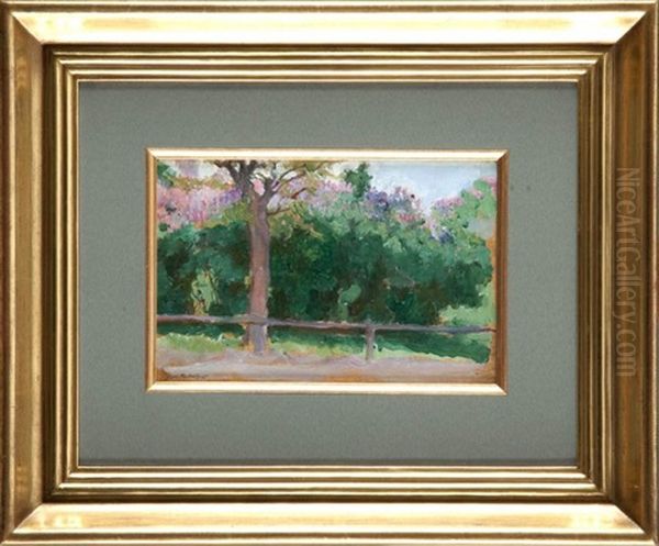 W Parku - view 1
