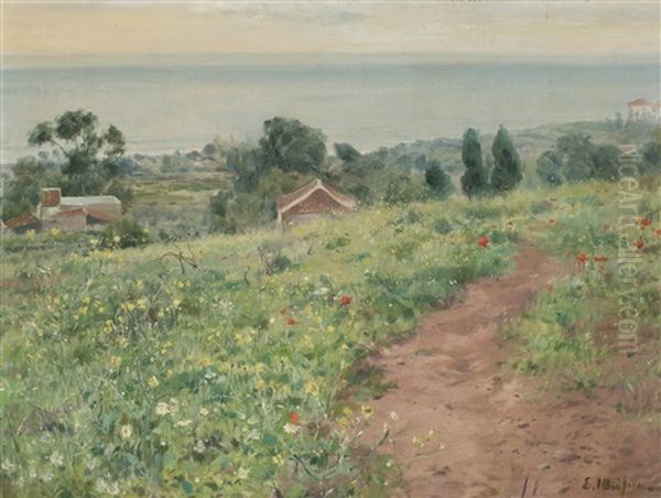 Paisaje Costero - view 1