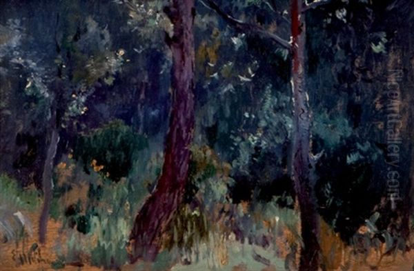 Paisaje Nocturno - view 1