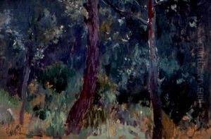 Paisaje Nocturno