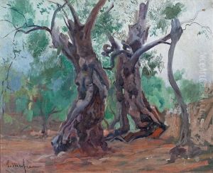 Olivos