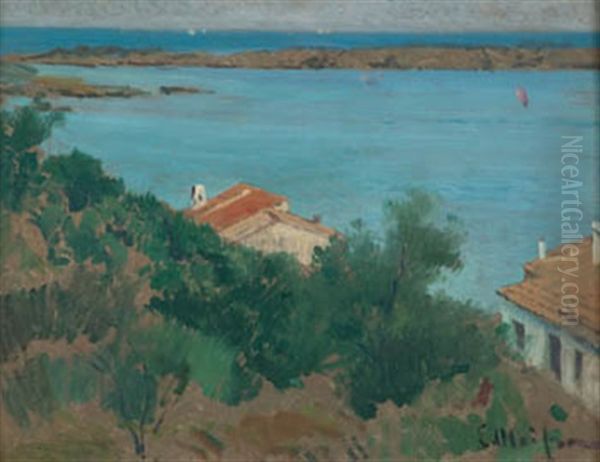 Port Llicat - view 1