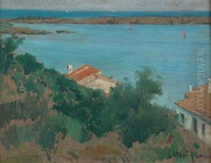 Port Llicat