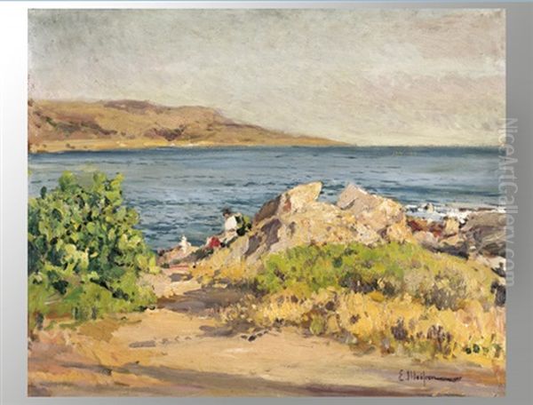 Kustenlandschaft - view 1