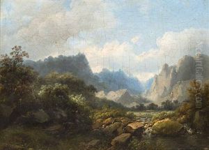 Gebirgslandschaft Mit Wildbach Im Sonnenlicht