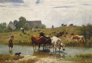 Ein Sommertag Am Land Ein Sommertag Am Land