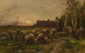 Schafer Mit Herde Im Abendlicht Schafer Mit Herde Im Abendlicht