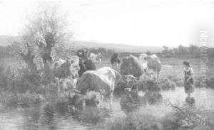 Kuhhirtin Mit Ihrer Herde An Einem Wasserloch