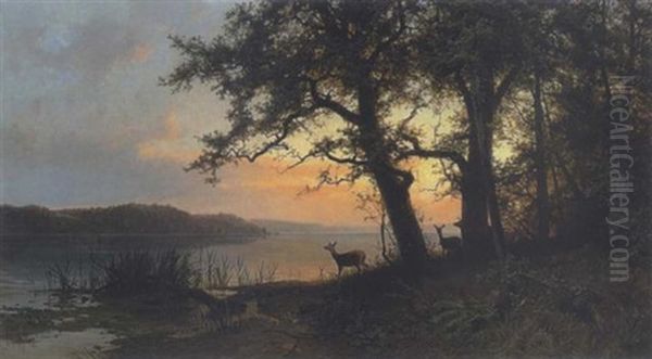 Rehe In Der Dammerung Am Seeufer - view 1