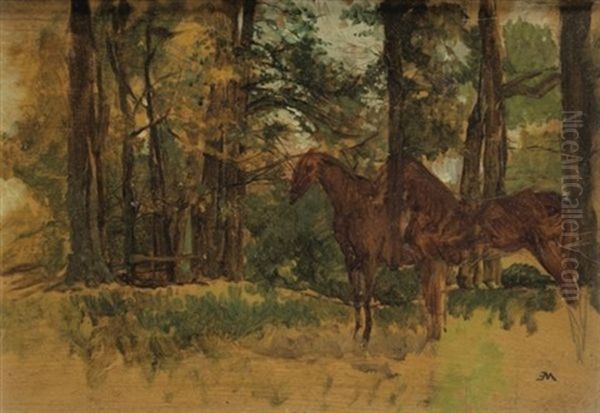 Etude De Chevaux - view 1