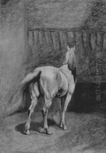 Horse In Stable