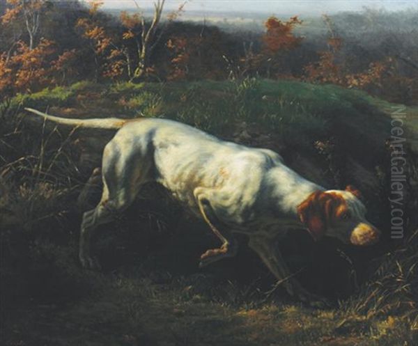 Portrait Of A Gun Dog In A Landscape - view 1