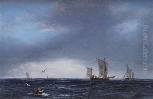 Leichte Segler Leichte Segler
