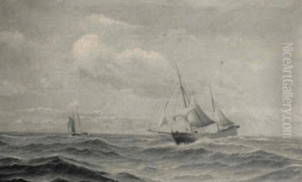 Marine - view 1